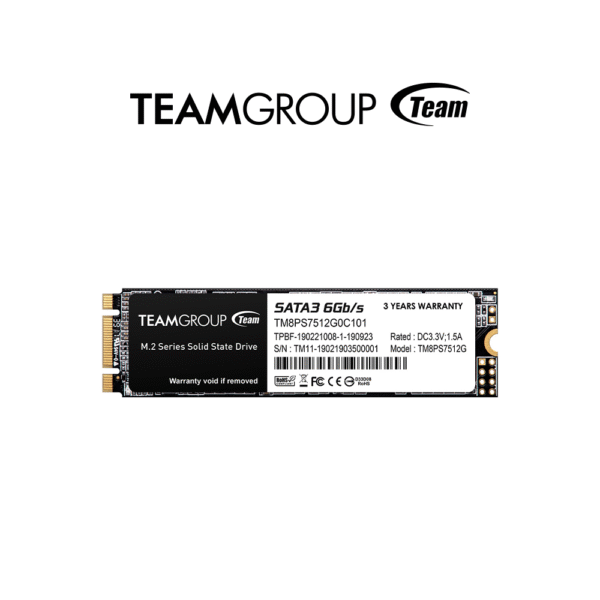 Teamgroup MS30 256GB | 512GB | 1TB M.2 SATA Storage