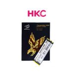 HKC ThunderBird DV600 256GB PCIe 3.0 Nvme M.2 SSD Storage