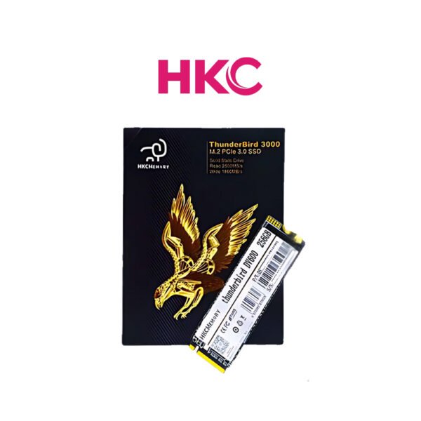 HKC ThunderBird DV600 256GB PCIe 3.0 Nvme M.2 SSD Storage